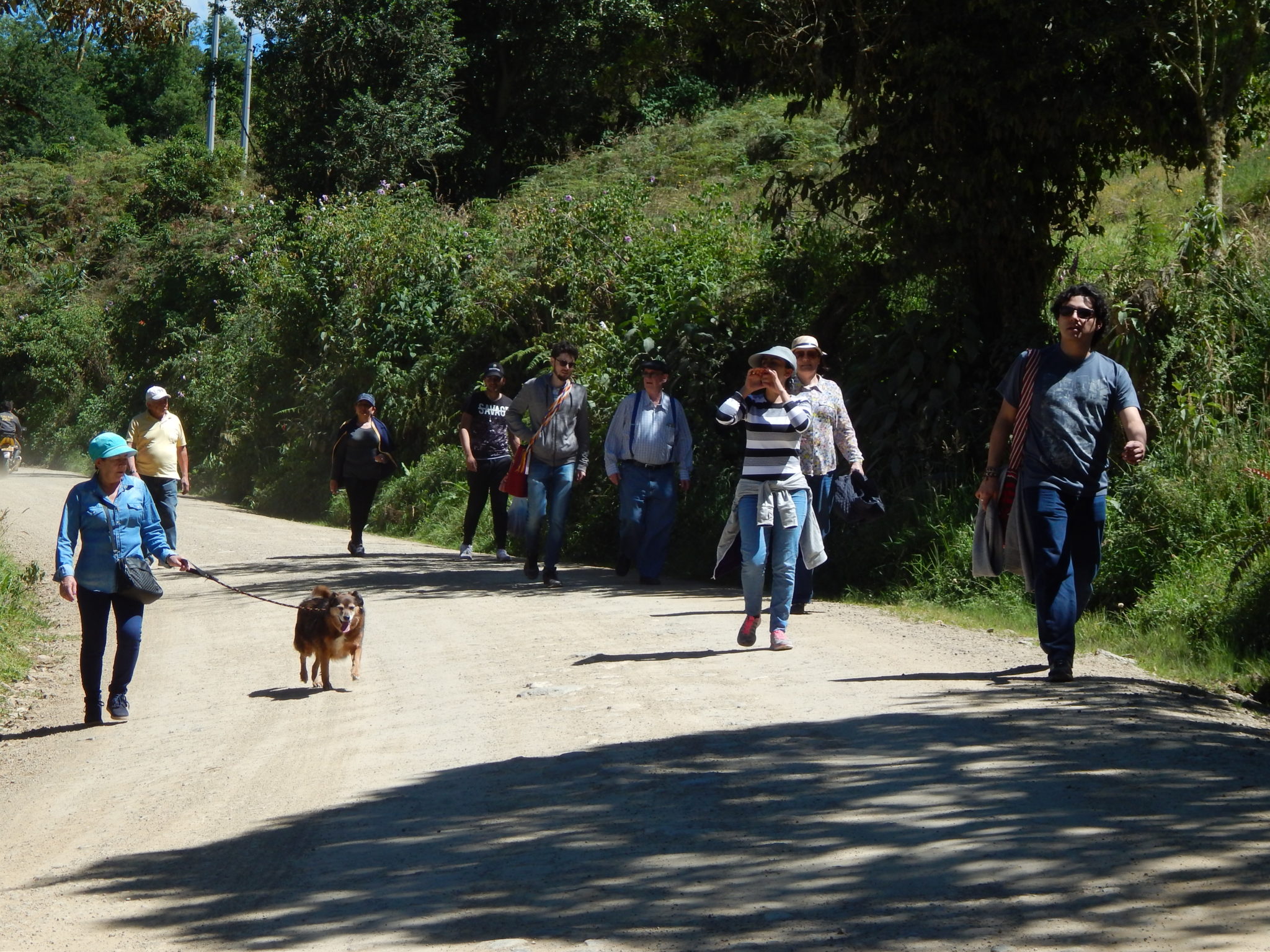 Caminatas cerca a Bogota