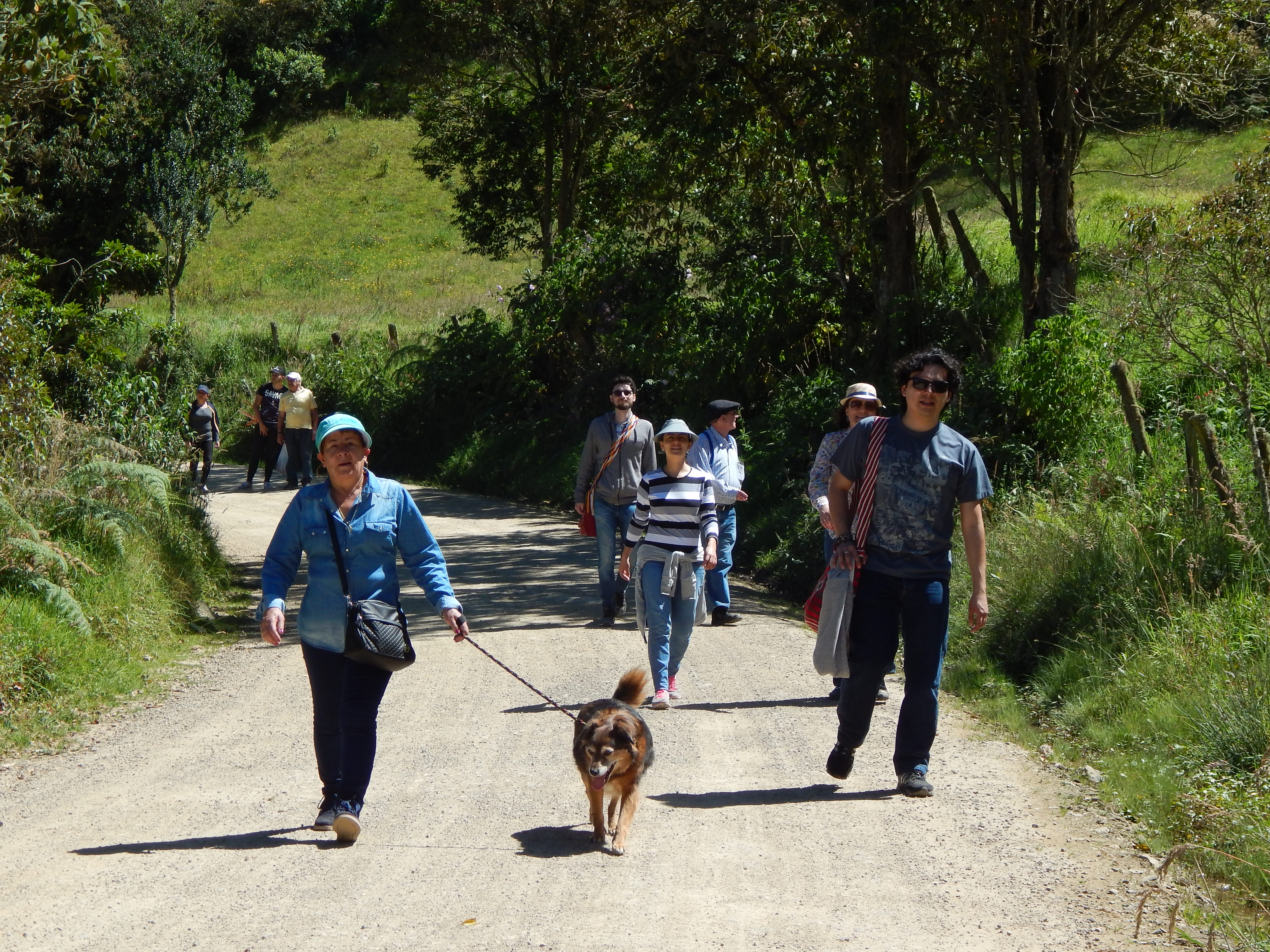 Caminatas Y planes para familias o grupos empresariales