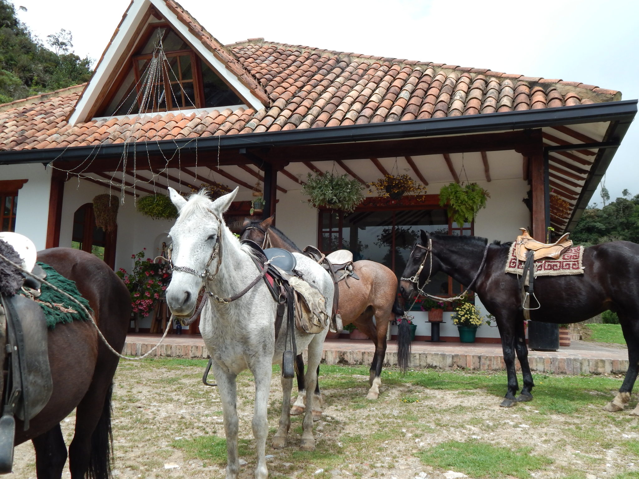 cabalgatas en La Calera