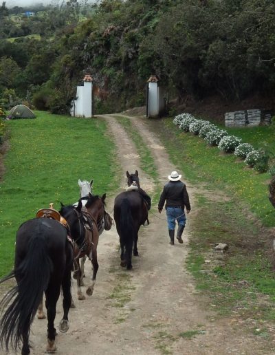 Cabalgata en la Calera