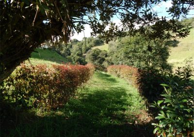 caminatas cerca a Bogotá