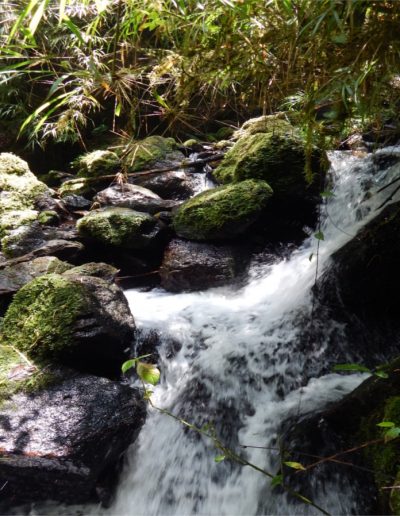 caminatas cerca a Bogotá